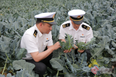 <b>大理州共出口农产物10.2万吨、货值11.</b>
